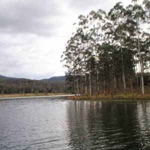 Meet your Posher, Marcus